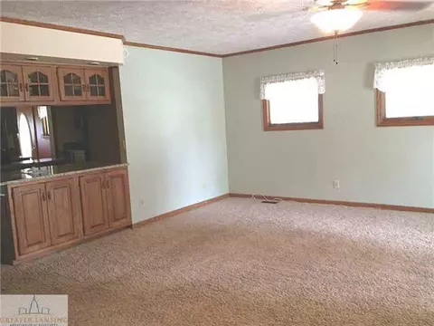 402 E Pearl, Ovid, MI 48866 photo 8