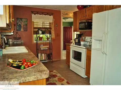 8370 Howe Rd, Eagle, MI 48822 photo 9