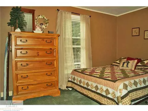 8370 Howe Rd, Eagle, MI 48822 photo 15