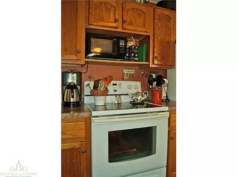 8370 Howe Rd, Eagle, MI 48822 photo 11