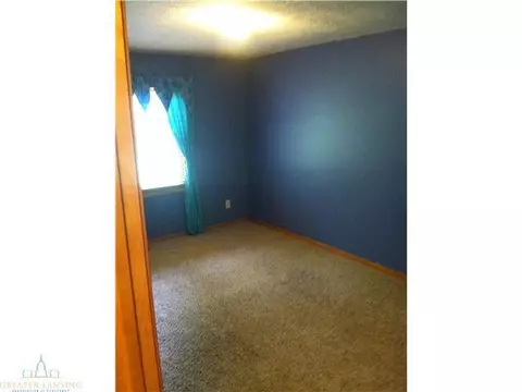 9707 Craun, Dewitt, MI 48820 photo 16