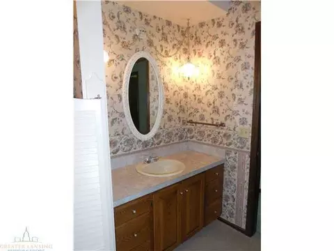 11182 W Clark Rd, Eagle, MI 48822 photo 15