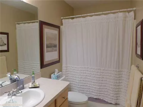 3169 Traci Ln, Dewitt, MI 48820 photo 19
