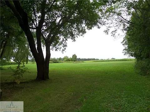 3169 E Round Lake Rd, Dewitt, MI 48820 photo 23