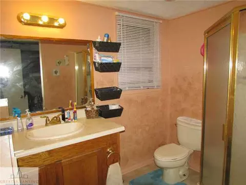 1003 Elmwood, Dewitt, MI 48820 photo 18