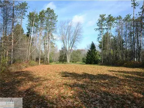 90 Sherwood, Williamston, MI 48895 photo 10