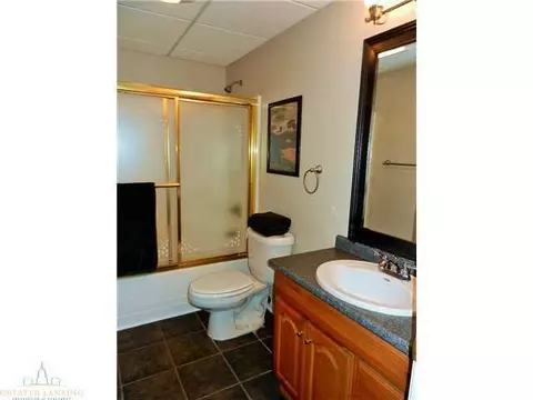 6294 Red Fox Ln, Perry, MI 48872 photo 19