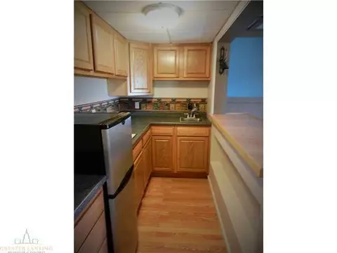 6294 Red Fox Ln, Perry, MI 48872 photo 17