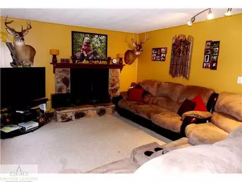 7521 W Howe Rd, Dewitt, MI 48820 photo 12