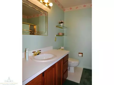 1110 Brookside Dr, Lansing, MI 48917 photo 12