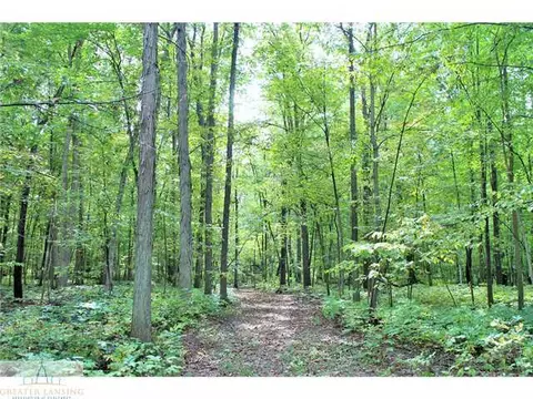 3753 E Clark Rd, Bath, MI 48808 photo 25