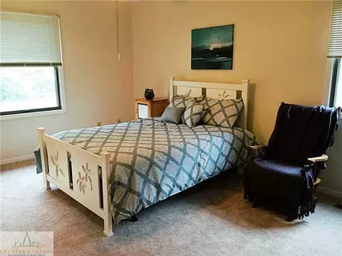 4430 Rodeo Trl, Williamston, MI 48895 photo 9