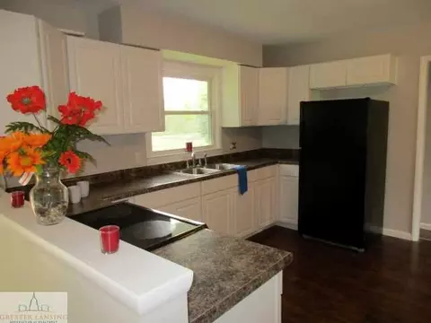 5259 Bailey Rd, Dimondale, MI 48821 photo 11