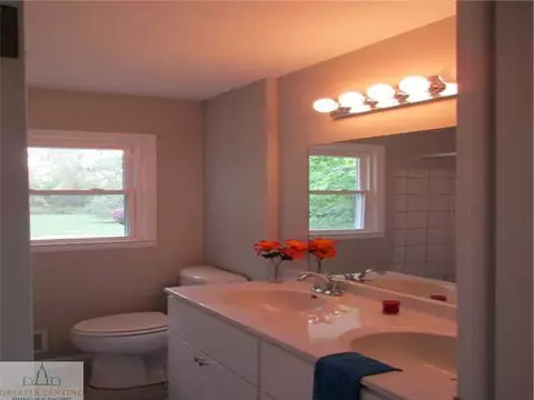 5259 Bailey Rd, Dimondale, MI 48821 photo 14