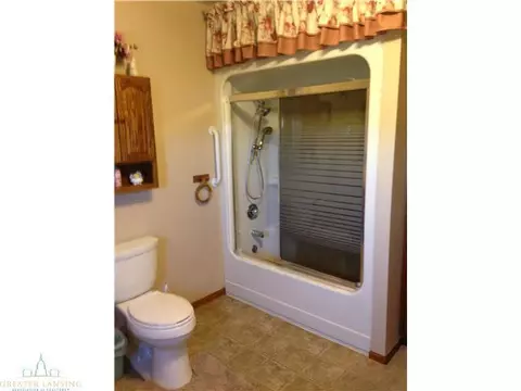5597 E Maple Rapids Rd, Elsie, MI 48831 photo 10