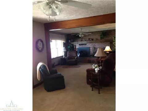 5597 E Maple Rapids Rd, Elsie, MI 48831 photo 8