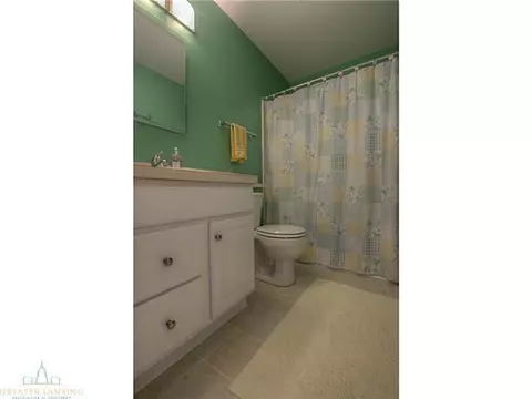 11513 Sara Ann Dr, Dewitt, MI 48820 photo 11