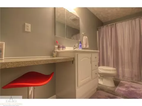 11513 Sara Ann Dr, Dewitt, MI 48820 photo 14