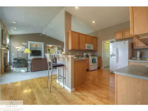 11513 Sara Ann Dr, Dewitt, MI 48820 photo 4