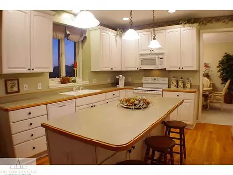 3201 Crofton Dr, Dewitt, MI 48820 photo 2