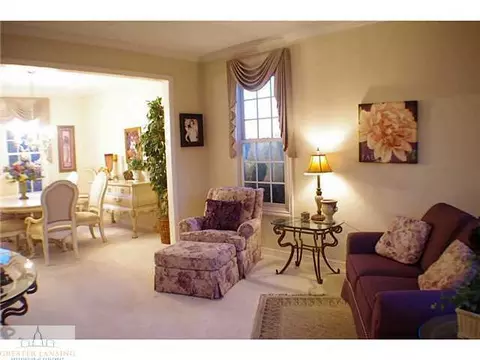3201 Crofton Dr, Dewitt, MI 48820 photo 7