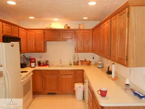 11925 Francis, Dewitt, MI 48820 photo 10