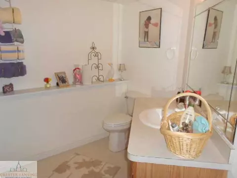 11925 Francis, Dewitt, MI 48820 photo 24