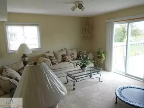 11925 Francis, Dewitt, MI 48820 photo 15