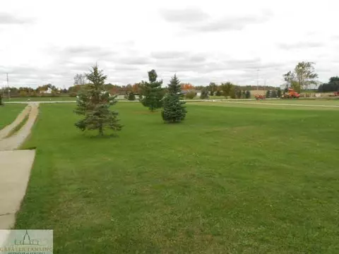11925 Francis, Dewitt, MI 48820 photo 4