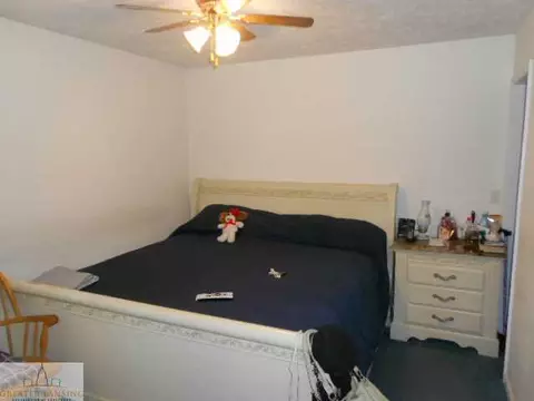 11925 Francis, Dewitt, MI 48820 photo 16