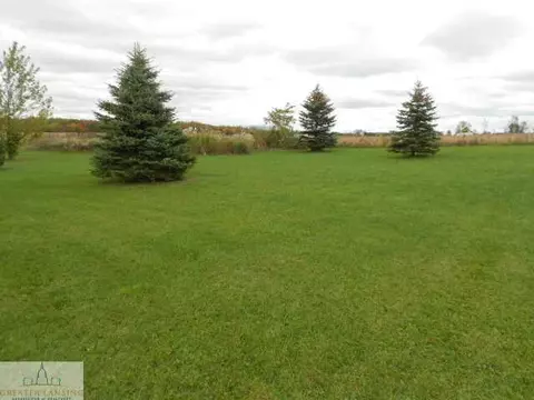 11925 Francis, Dewitt, MI 48820 photo 8