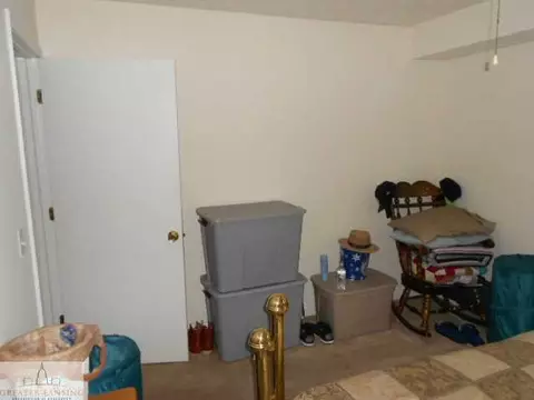 11925 Francis, Dewitt, MI 48820 photo 21