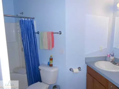 11925 Francis, Dewitt, MI 48820 photo 22
