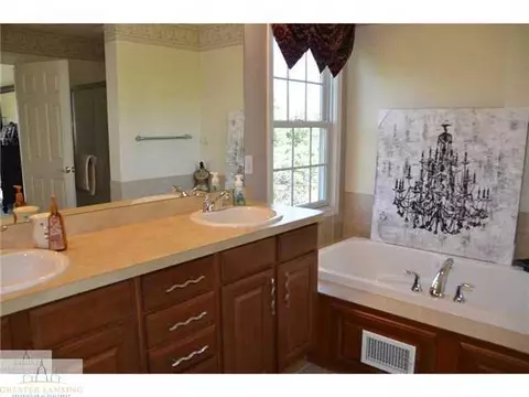 12830 Paradise Dr, Dewitt, MI 48820 photo 16