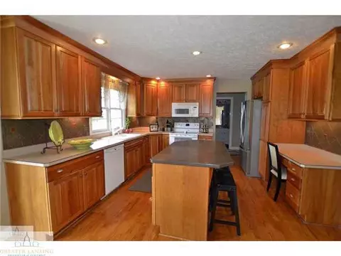 12830 Paradise Dr, Dewitt, MI 48820 photo 4