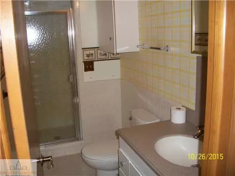 125 Ives Rd, Mason, MI 48854 photo 15