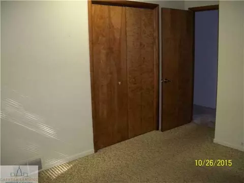 125 Ives Rd, Mason, MI 48854 photo 11