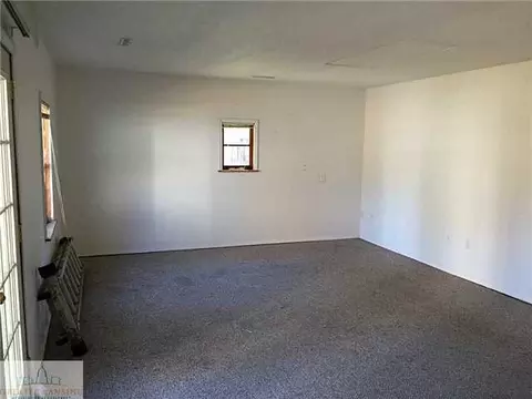 615 W Main, Dewitt, MI 48820 photo 18