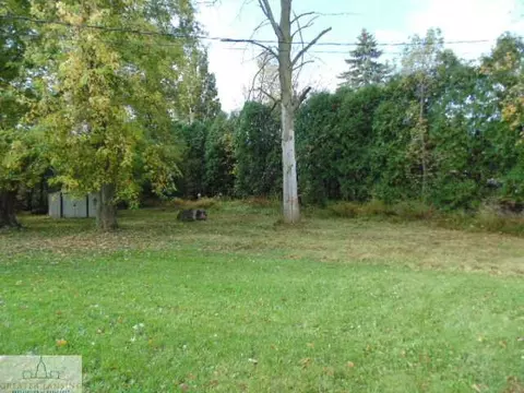 2927 Cranbrook Ave, Lansing, MI 48906 photo 22