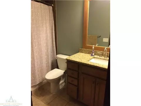 817 Fields Rd, Dansville, MI 48819 photo 10