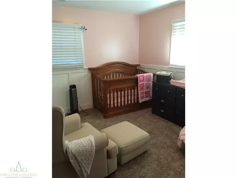 817 Fields Rd, Dansville, MI 48819 photo 9