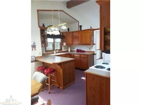 5880 Horstmeyer, Lansing, MI 48911 photo 10