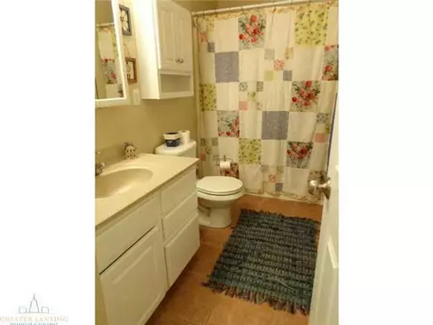 11340 W Clark Rd, Eagle, MI 48822 photo 11
