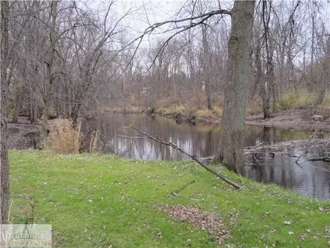 407 W Washington, Dewitt, MI 48820 photo 24