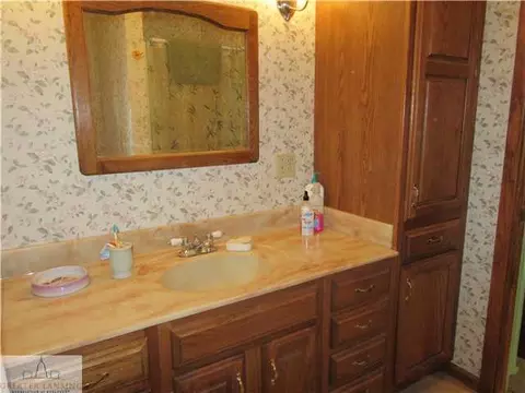 407 W Washington, Dewitt, MI 48820 photo 16