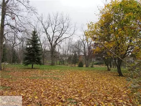 407 W Washington, Dewitt, MI 48820 photo 23