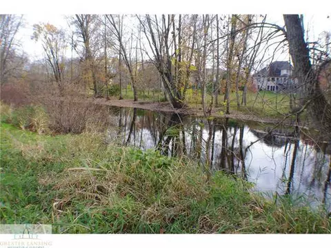 417 W Washington, Dewitt, MI 48820 photo 24