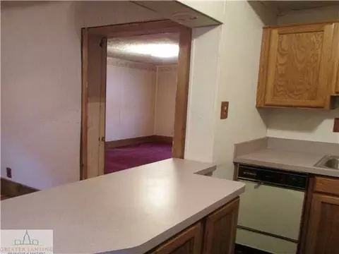 121 Custer Ave, Lansing, MI 48912 photo 15