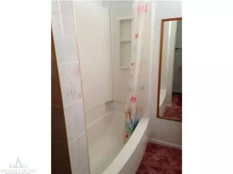 223 W Water St, Maple Rapids, MI 48853 photo 6