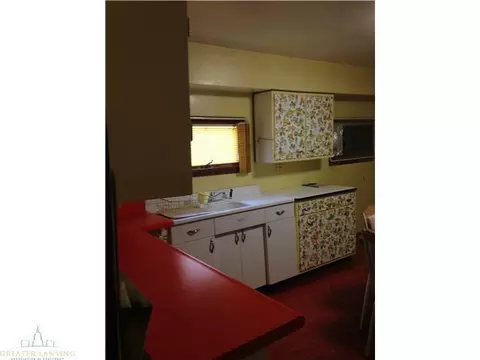 223 W Water St, Maple Rapids, MI 48853 photo 5